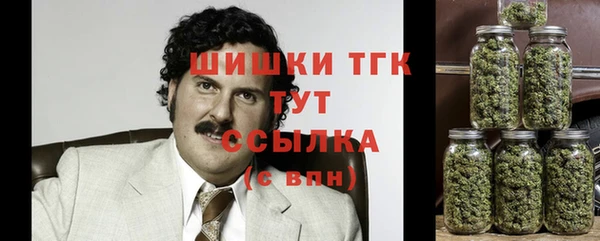 СК Липки